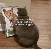 Не ищите здесь смысл. Здесь в основном маразм