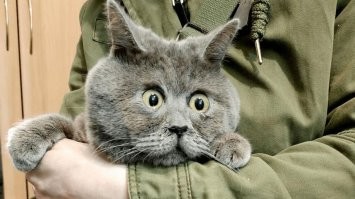 Без Феди этот пост не полон.