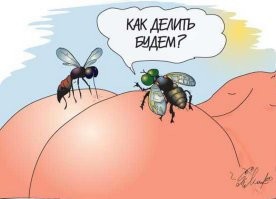 Эх, комарики )))