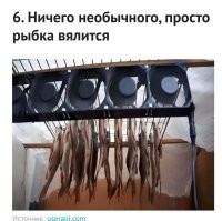 Так рыбку вялят только сисадмины. Рыбка вялится ВНИЗ головой.
