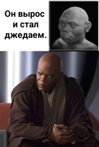 Учёные раскрыли, как выглядели древние "хоббиты"
