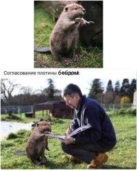 Нейросеть Generative Fill нашла свое предназначение