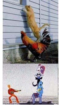 Фотоподборка