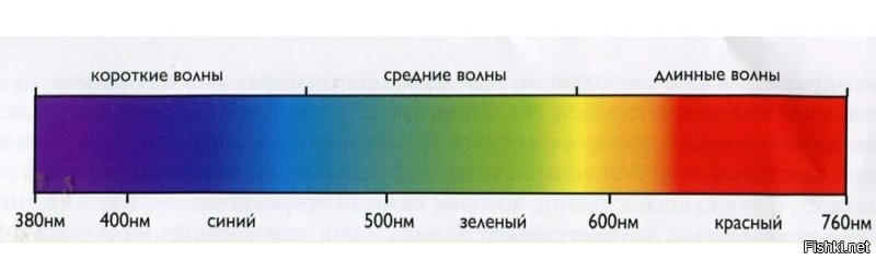 Насколько реально двум людям заселить планету