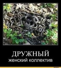 Неядовитые змеи России: кого не стоит бояться&nbsp;