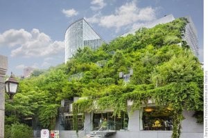 У япошек кончилась свободная земля на островке, уже сажают на дома))))