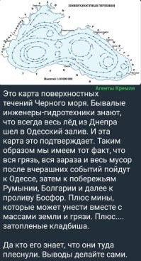 Суки и твари!