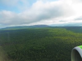 Гражданская ответственность, к которой хочется присоединиться