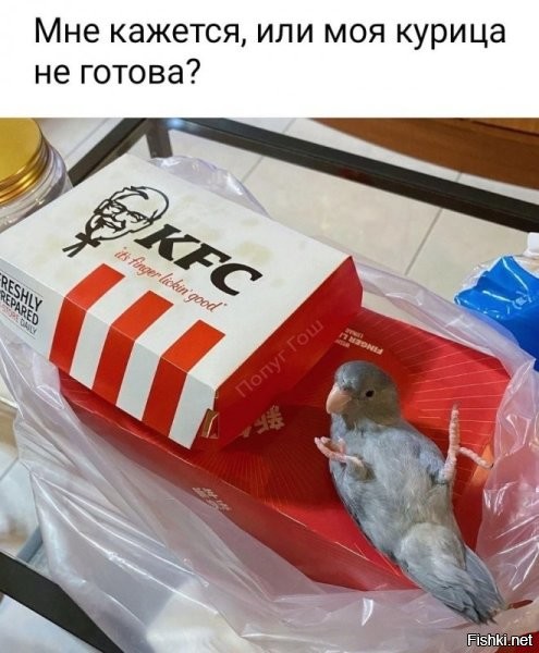 Да похоже на всё уже готова....