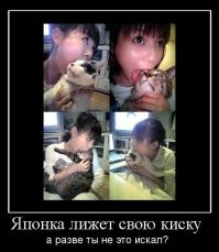 Фотоприколы и&nbsp;прикольные картинки