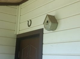 Повесили скворечник, как декоративный. 
А в нём семейство трясогузок поселилось. :)