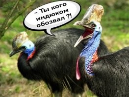 15 занимательных сравнений, демонстрирующих большую разницу