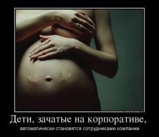 Фотоприколы и&nbsp;прикольные картинки