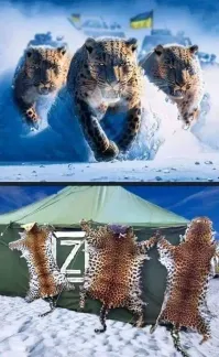 Самооборона.