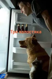 Фоткает четвёртый холостяк, я так понимаю?