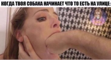 Мужчины против женщин: пользователи соцсетей о противоположном поле в отношениях