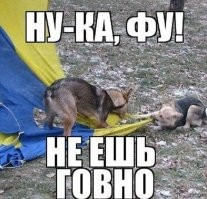 На финале Лиги чемпионов у болельщиков решили отобрать флаг Украины