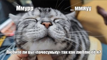 И кое-что ещё...
