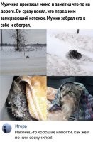 Иногда и у Димона в подборках, пусть и случайно, бывает что-нибудь хорошее.