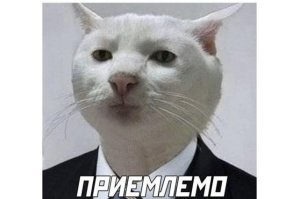 Продолжаем барражировать соцсети