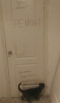 Фотоприколы и&nbsp;прикольные картинки