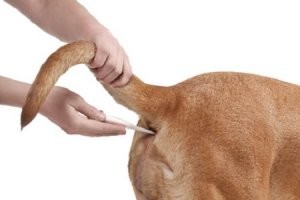 Скрины из соцсетей&nbsp;