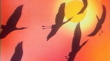 Свадебный кортеж на встречной полосе спровоцировал ДТП