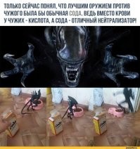 Интересные и&nbsp;малоизвестные факты о&nbsp;фильме "Чужой"
