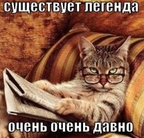 Лингвисты назвали 5 древнейших языков, на которых говорят по сей день