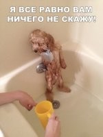 Муму похоже пес читал....