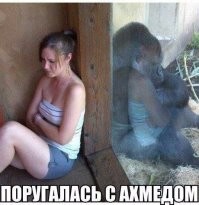 В Дагестане мужчина ударил девушку, которая разгуливала по улице в обтягивающих "велосипедках"