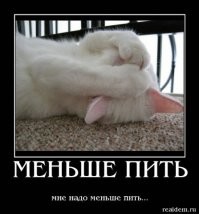 Кормление маленьких чертят
