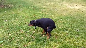 Печать не забыть поставить - все же бланк официальный