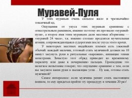 Учёные назвали виды муравьёв, чей укус поражает нервные клетки