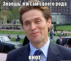 Подборка забавных комиксов о проблемах в жизни енота