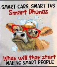 Компания Amazon из-за расизма заблокировала клиенту функции умного дома