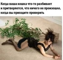 Не ищите здесь смысл. Здесь в основном маразм