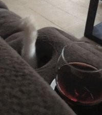 Ржал аки конь!