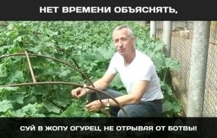 Во Франции детям покажут перфоманс экосексуалов, получающих удовольствие от секса с кабачками и тыквой