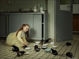 Фотоподборка