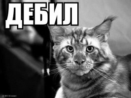 В Египте захотели увековечить память погибшего от нападения акулы россиянина