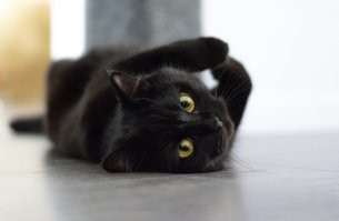 Какая же это плохая примета? По моему, очень даже хорошая))).