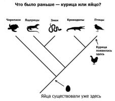 Как то так:
