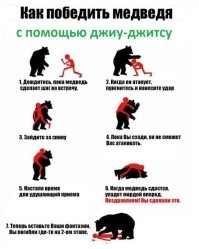 В Иркутской области медведица загнала рабочих на опору ЛЭП