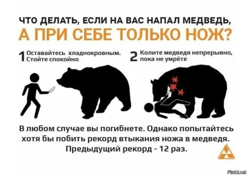 В Иркутской области медведица загнала рабочих на опору ЛЭП