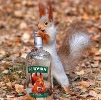 Пьяный мужчина выбросил с балкона унитаз на припаркованные автомобили