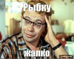 В Чистополе рыбаки поймали сома весом 104 кг