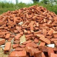 В Иркутской области медведица загнала рабочих на опору ЛЭП