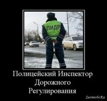 Вообще-то эти ребята должны были всё разрулить.