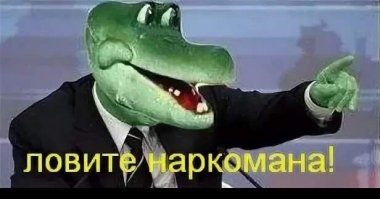 Заяц - лесник. Загадка полярного ручья